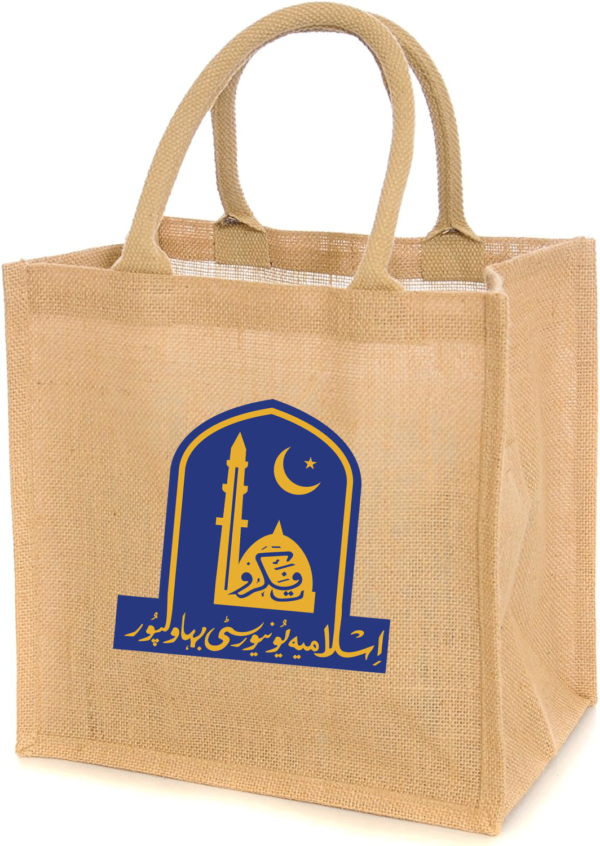 iub e learning Bags with Handles Assorted Sizes Mixed Sizes Bulk Kraft Paper Gift Merchandise